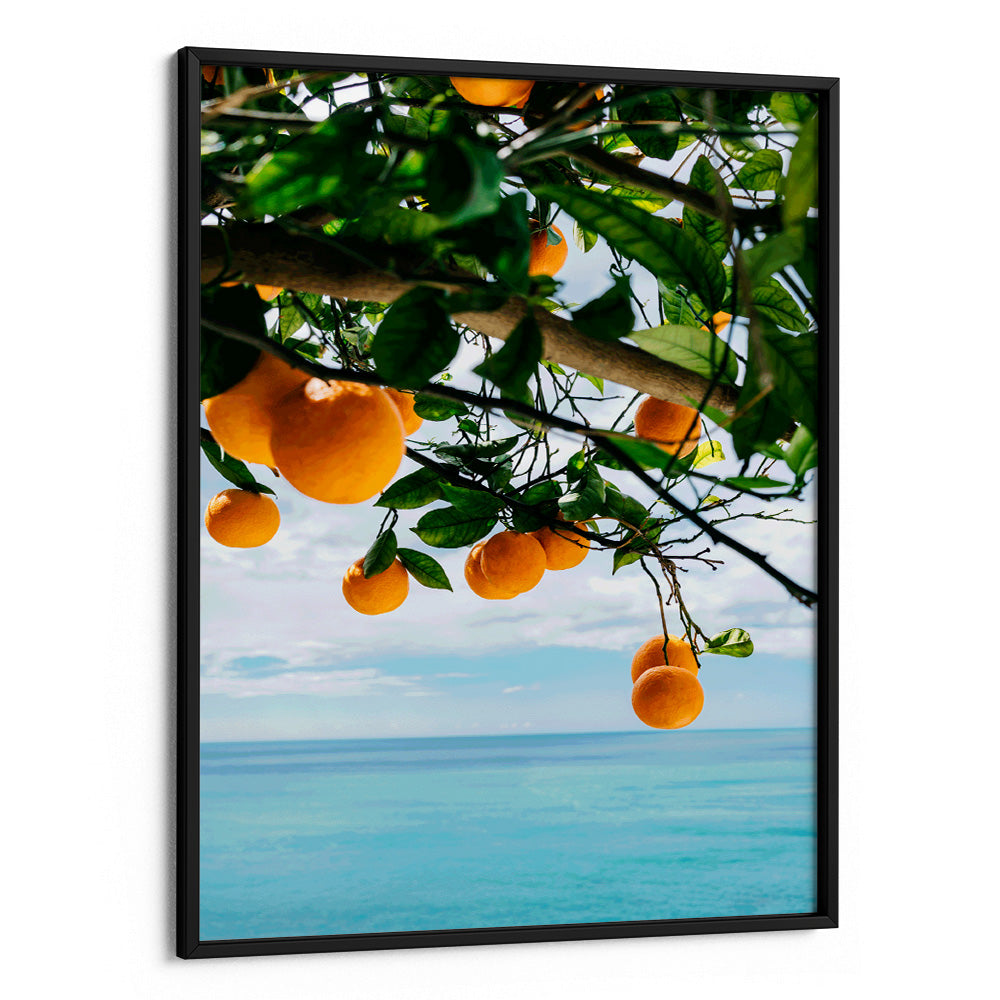 Ocean Citrus Bliss Aesthetic Wall Art - XS / Matte Paper / Rolled Art - Nook At You