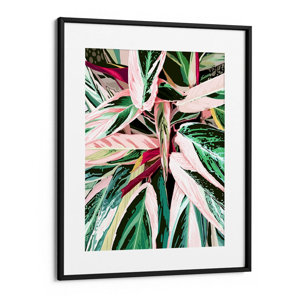 Tropical Variegated Houseplant Botanical Wall Art Poster - XS / Matte Paper / Rolled Art - Nook At You