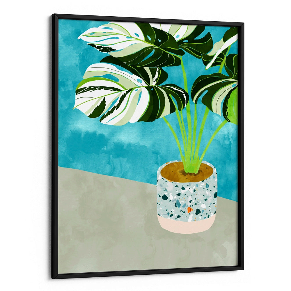 Variegated Monstera Botanical Wall Art - 5XL / Canvas / Rolled Art - Nook At You