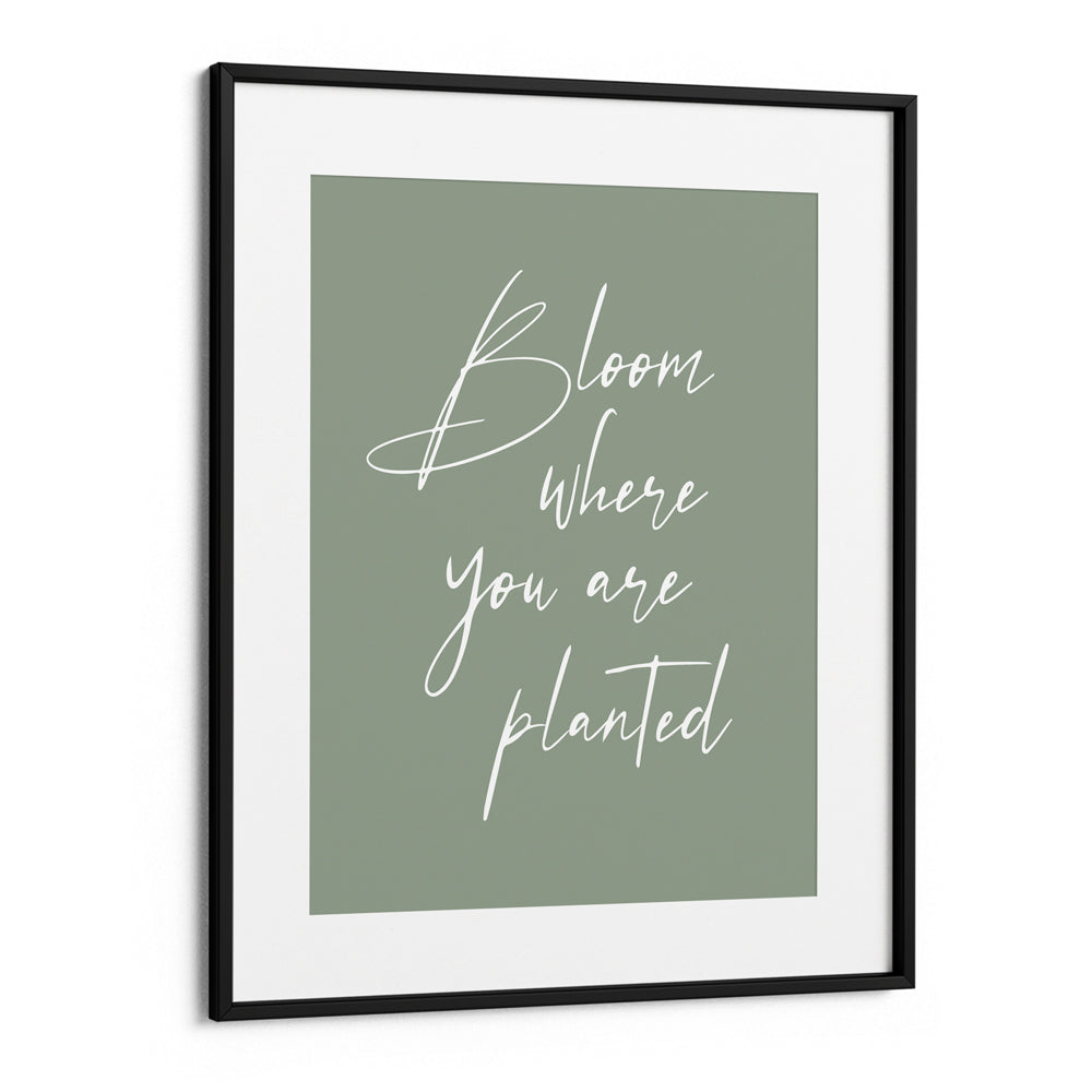 Bloom Where You Are Planted
