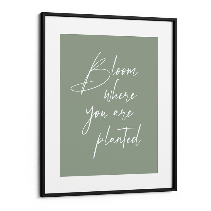 Bloom Where You Are Planted
