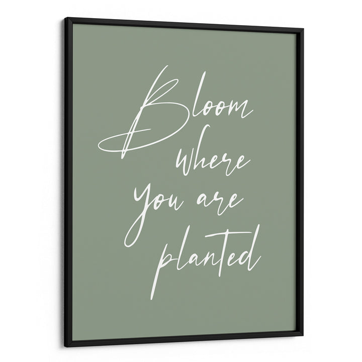 Bloom Where You Are Planted