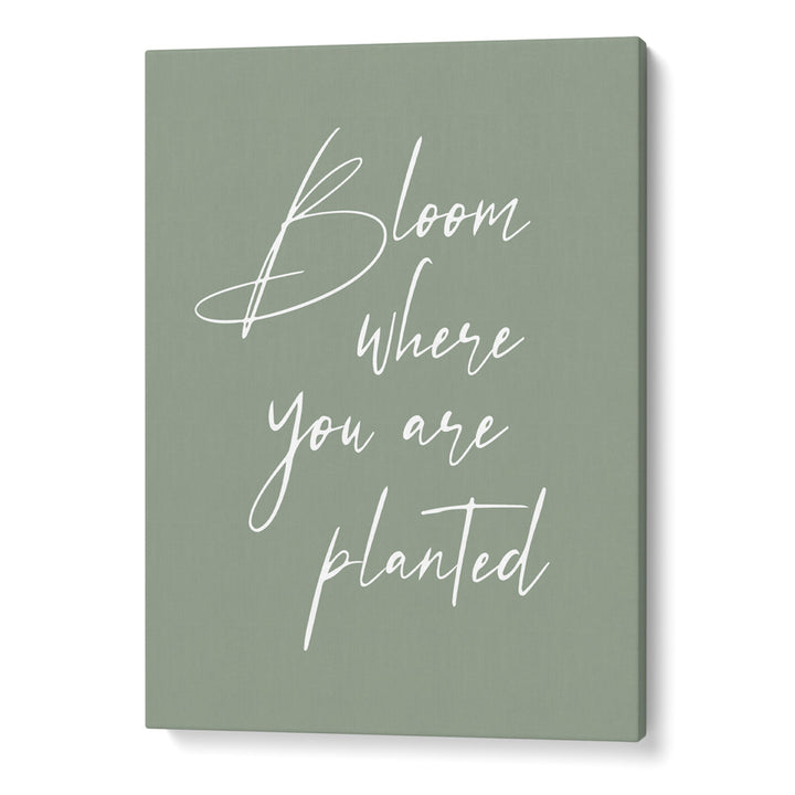 Bloom Where You Are Planted