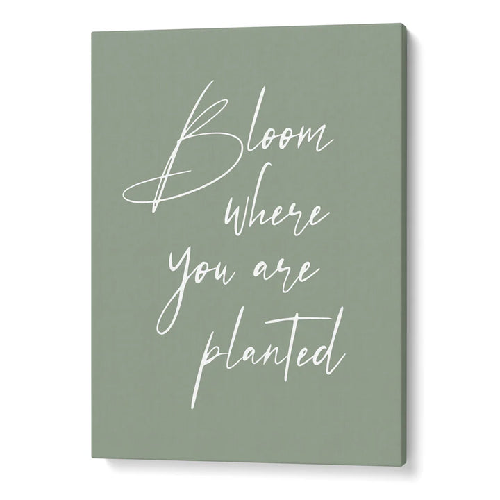 The Green Garden Gallery Wall Set of 10