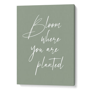 Bloom Where You Are Planted