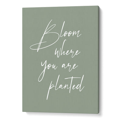 Bloom Where You Are Planted