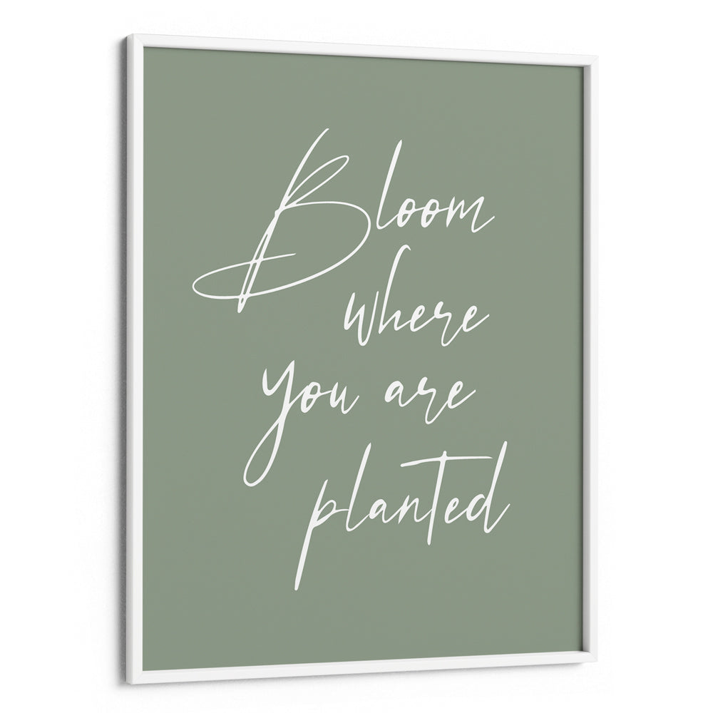 Bloom Where You Are Planted