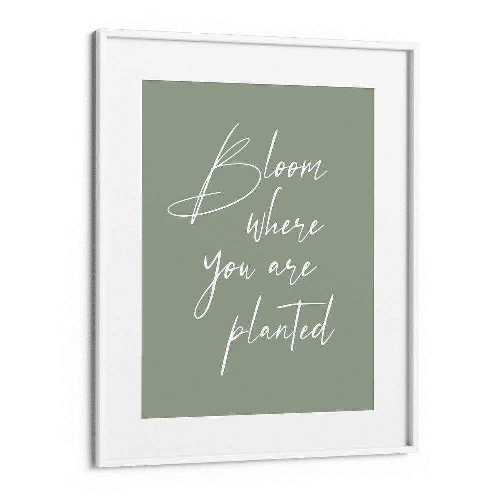 Bloom Where You Are Planted