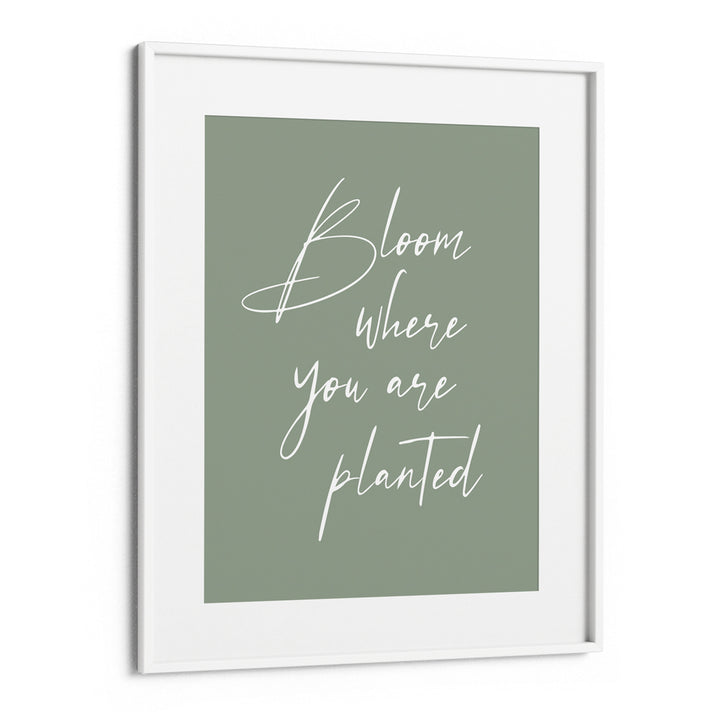 Bloom Where You Are Planted