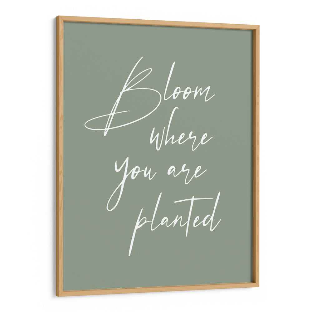 Bloom Where You Are Planted