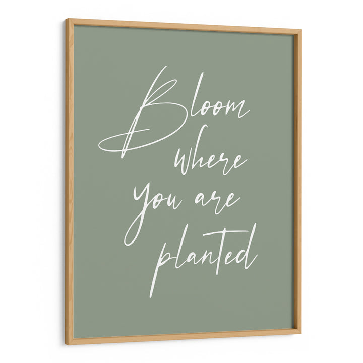 Bloom Where You Are Planted