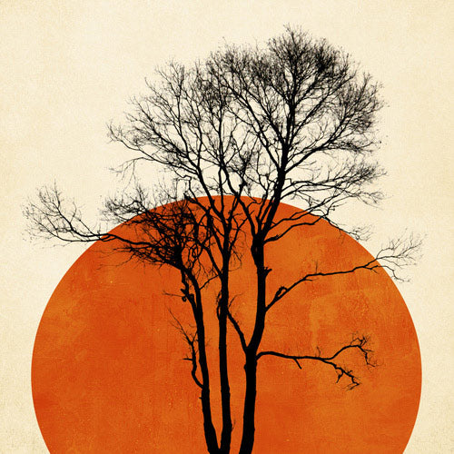 Boho & Botanical Bohemian art meets nature’s calm — organic, soulful, and serene.