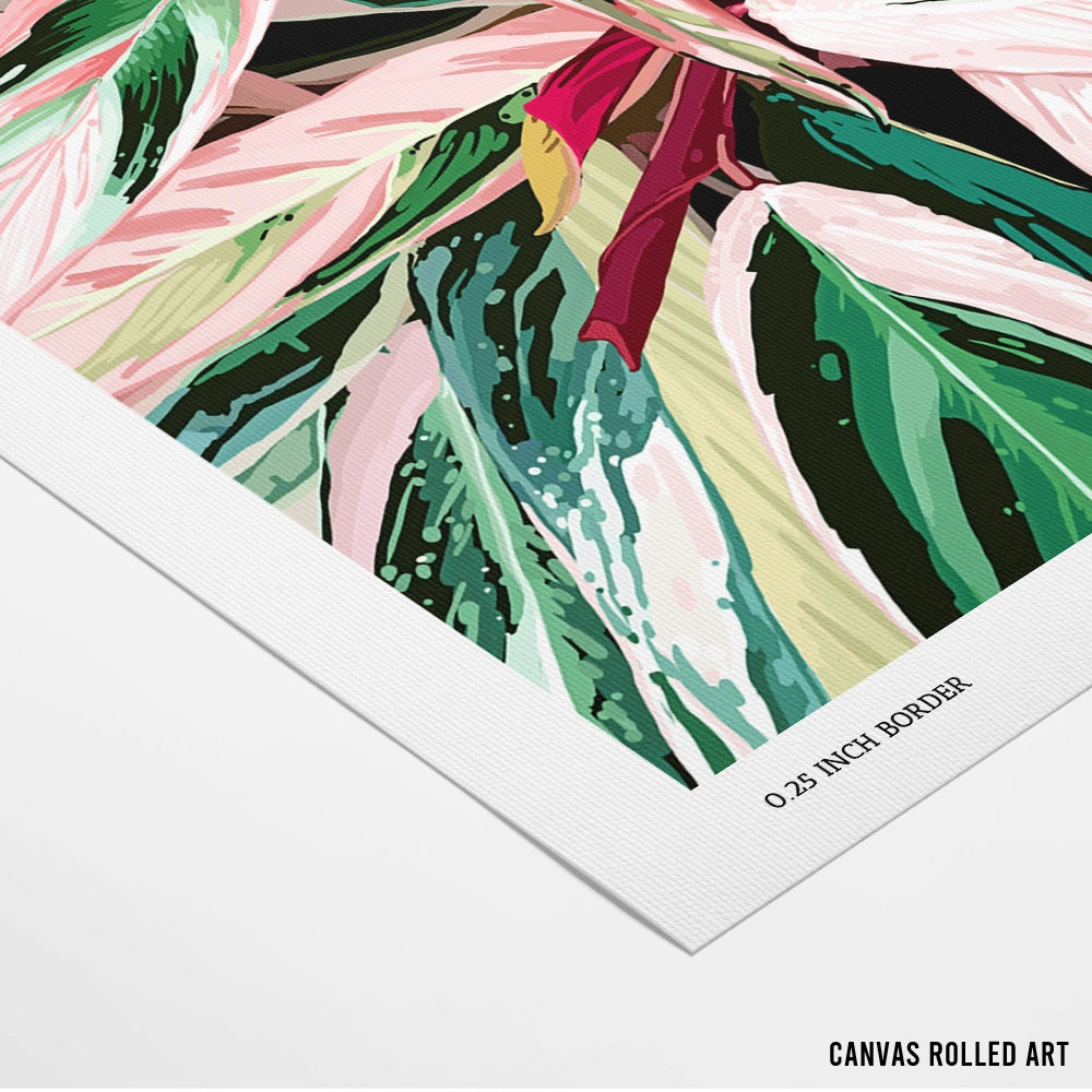 Tropical Variegated Houseplant Botanical Wall Art Poster - XS / Matte Paper / Rolled Art - Nook At You