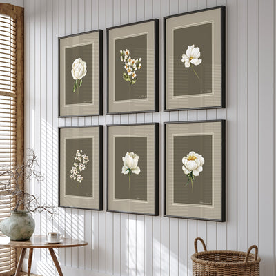 Nature's Palette: Botanical Gallery Wall Set of 6