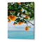 Ocean Citrus Bliss Aesthetic Wall Art