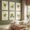 Flourishing Foliage: Botanical Gallery Wall Set of 6