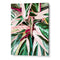Tropical Variegated Houseplant Botanical Wall Art Poster