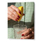 Citrus Squeeze Refresh Photography Wall Art