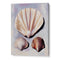 Seashell Harmony Canvas painting