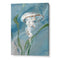 Jelly Fish Canvas Wall Art Painting
