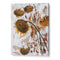 Wilted Autumn Sunflowers Floral Wall Art Poster
