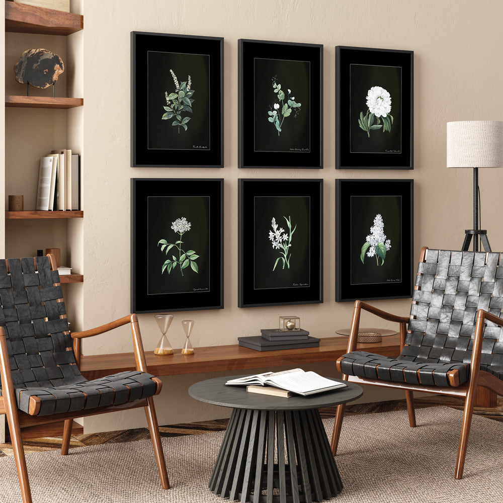 Obsidian Bloom Botanical Gallery Wall Set of 6 Nook At You Matte Paper Rolled Art