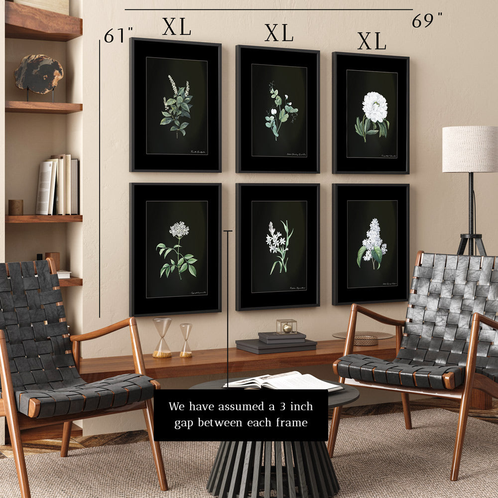 Obsidian Bloom Botanical Gallery Wall Set of 6