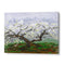 Spring Blossom Tree Nature Landscape Painting