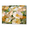 Creamy White Blossoms Floral Wall Art Poster