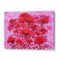 Vibrant Red Floral Garden Botanical Wall Art Print