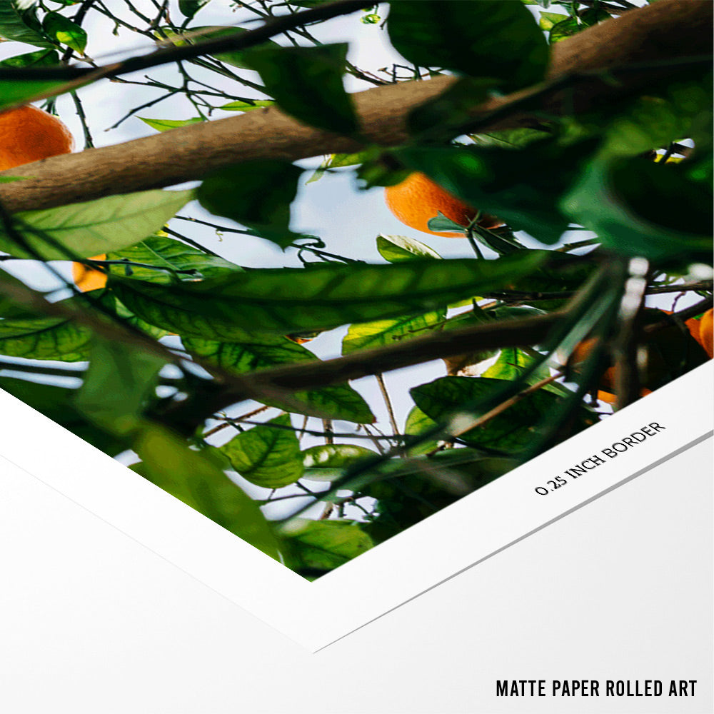 Ocean Citrus Bliss Aesthetic Wall Art - XS / Matte Paper / Rolled Art - Nook At You