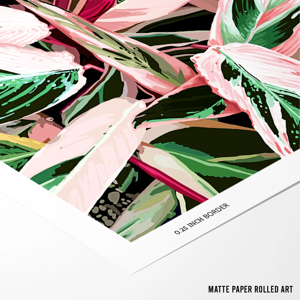 Tropical Variegated Houseplant Botanical Wall Art Poster - XS / Matte Paper / Rolled Art - Nook At You
