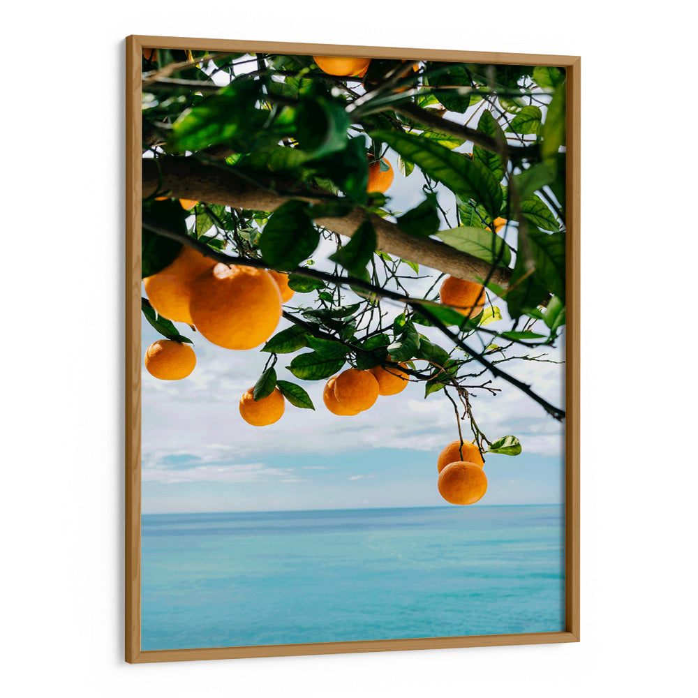 Ocean Citrus Bliss Aesthetic Wall Art - XS / Matte Paper / Rolled Art - Nook At You