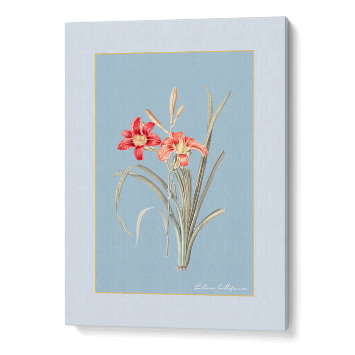 Powder Blue Botanical Set of 3