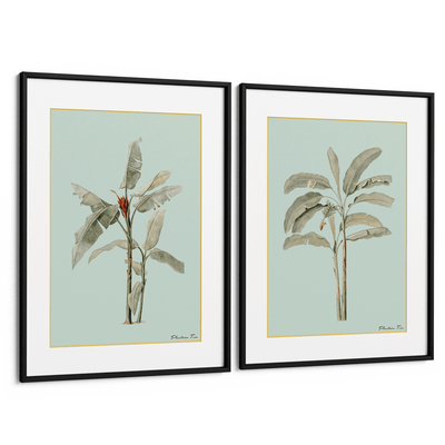 Plantain Tree Set of 2