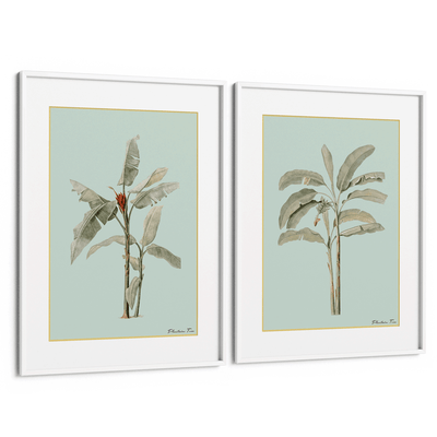 Plantain Tree Set of 2