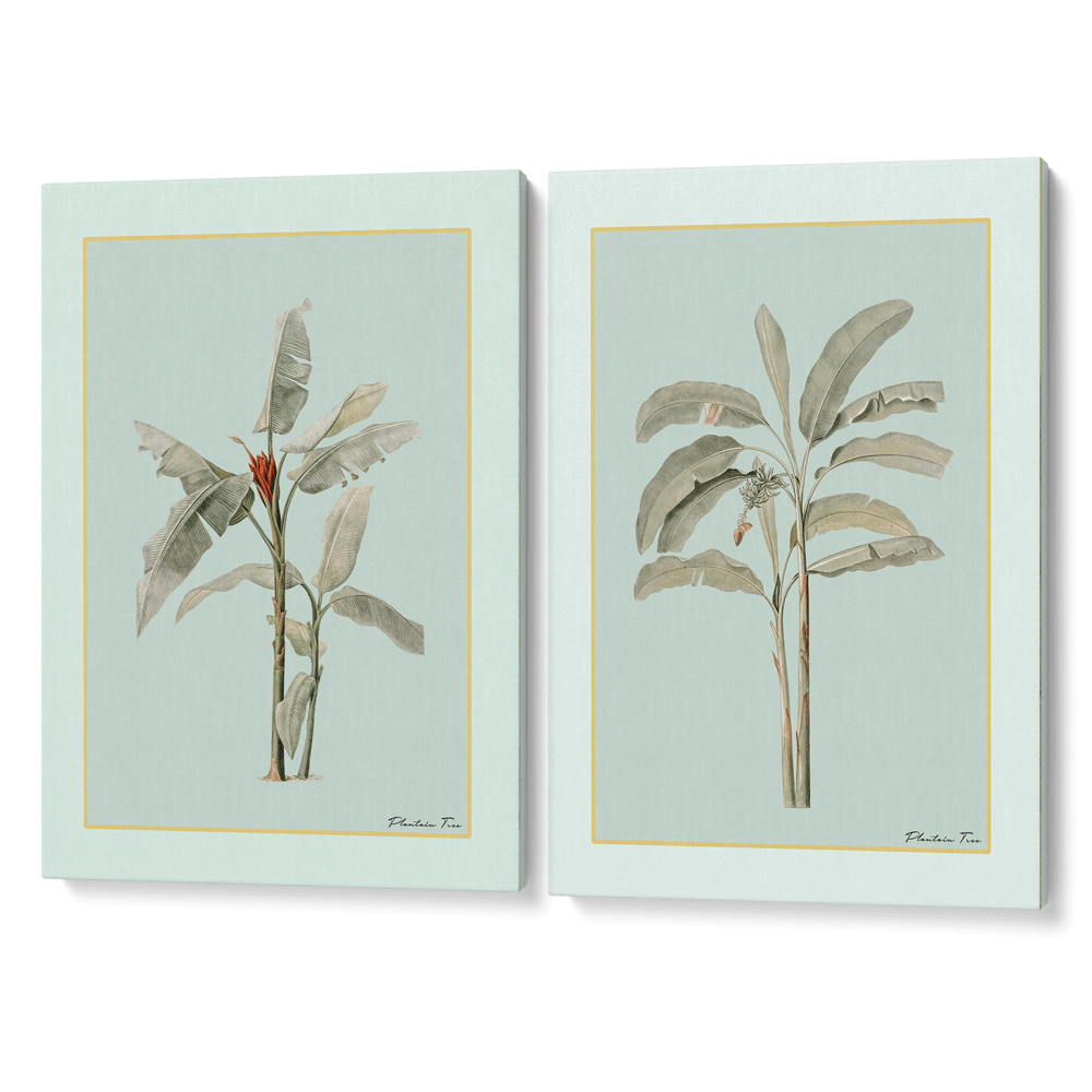 Plantain Tree Set of 2