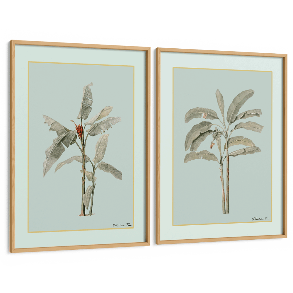 Plantain Tree Set of 2