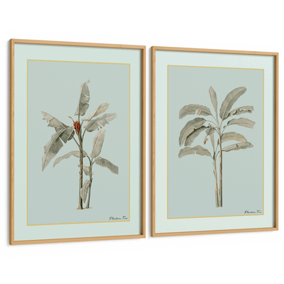 Plantain Tree Set of 2