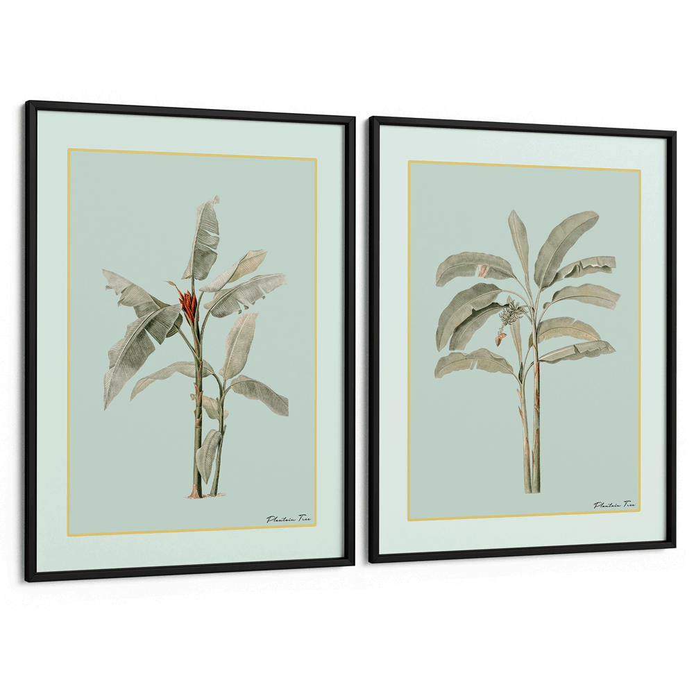 Plantain Tree Set of 2