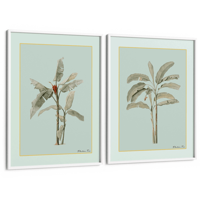 Plantain Tree Set of 2