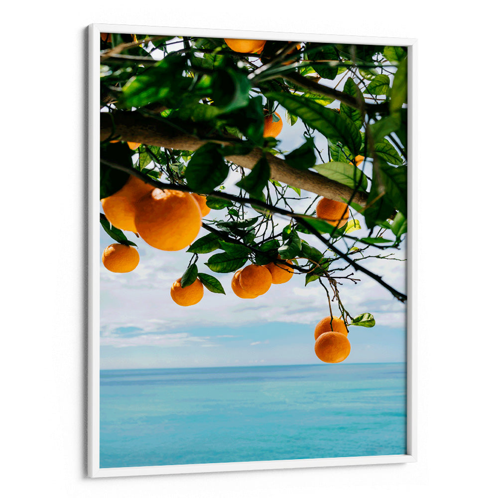 Ocean Citrus Bliss Aesthetic Wall Art - XS / Matte Paper / Rolled Art - Nook At You