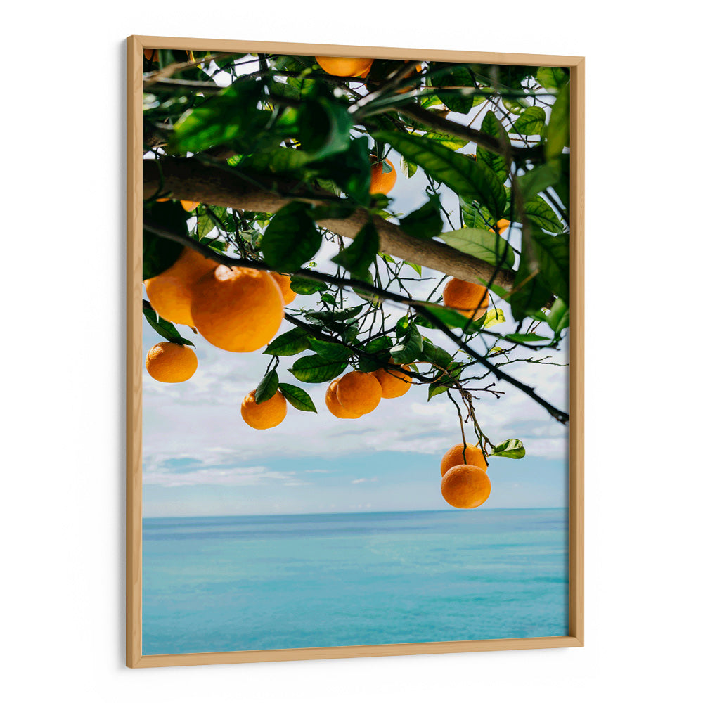 Ocean Citrus Bliss Aesthetic Wall Art - XS / Matte Paper / Rolled Art - Nook At You
