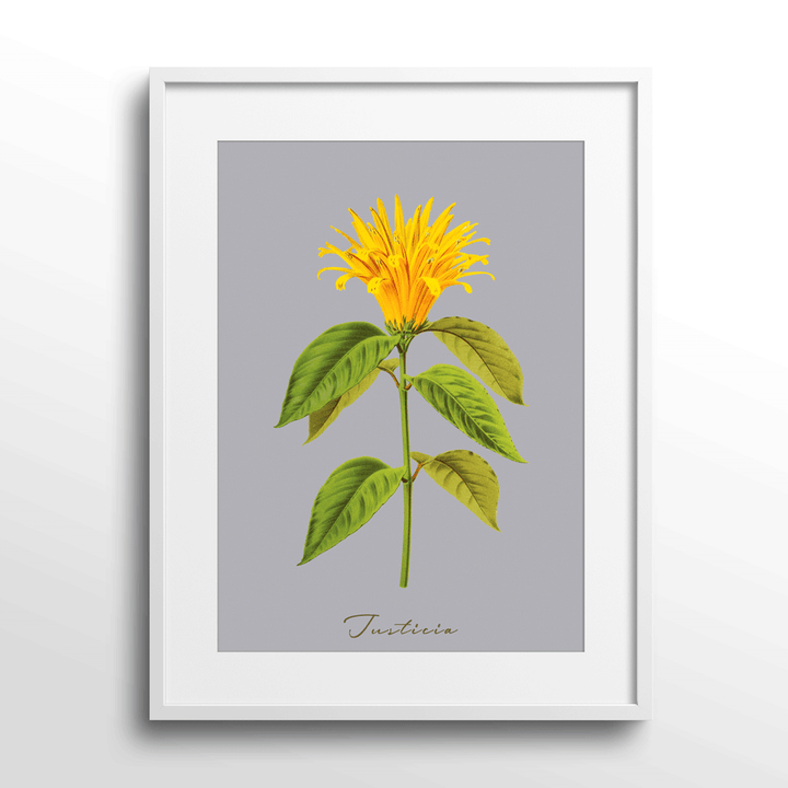 Justicia Nook At You Matte Paper White Frame With Mount