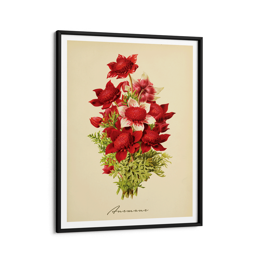 Anemone - Amber Nook At You Matte Paper Black Frame