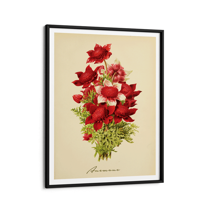 Anemone - Amber Nook At You Matte Paper Black Frame