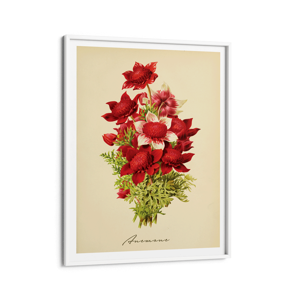 Anemone - Amber Nook At You Matte Paper White Frame