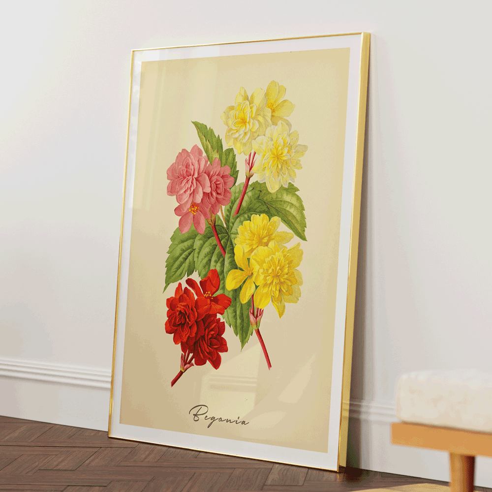 Begonia - Amber Nook At You Matte Paper Gold Metal Frame