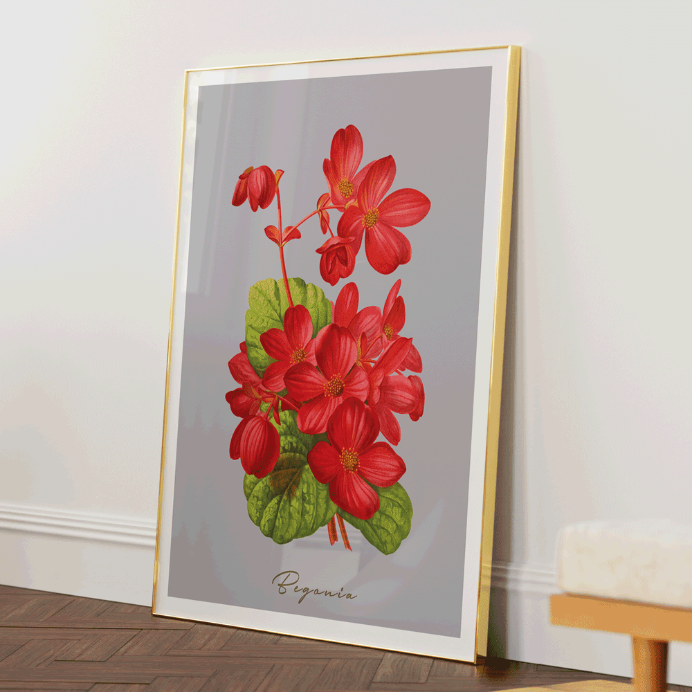 Begonia - Scarlet Nook At You Matte Paper Gold Metal Frame