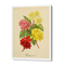 Begonia - Amber